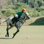 Riviera Nayarit y la Selección Mexicana de Polo anuncian alianza estratégica para impulsar el deporte y la promoción turística